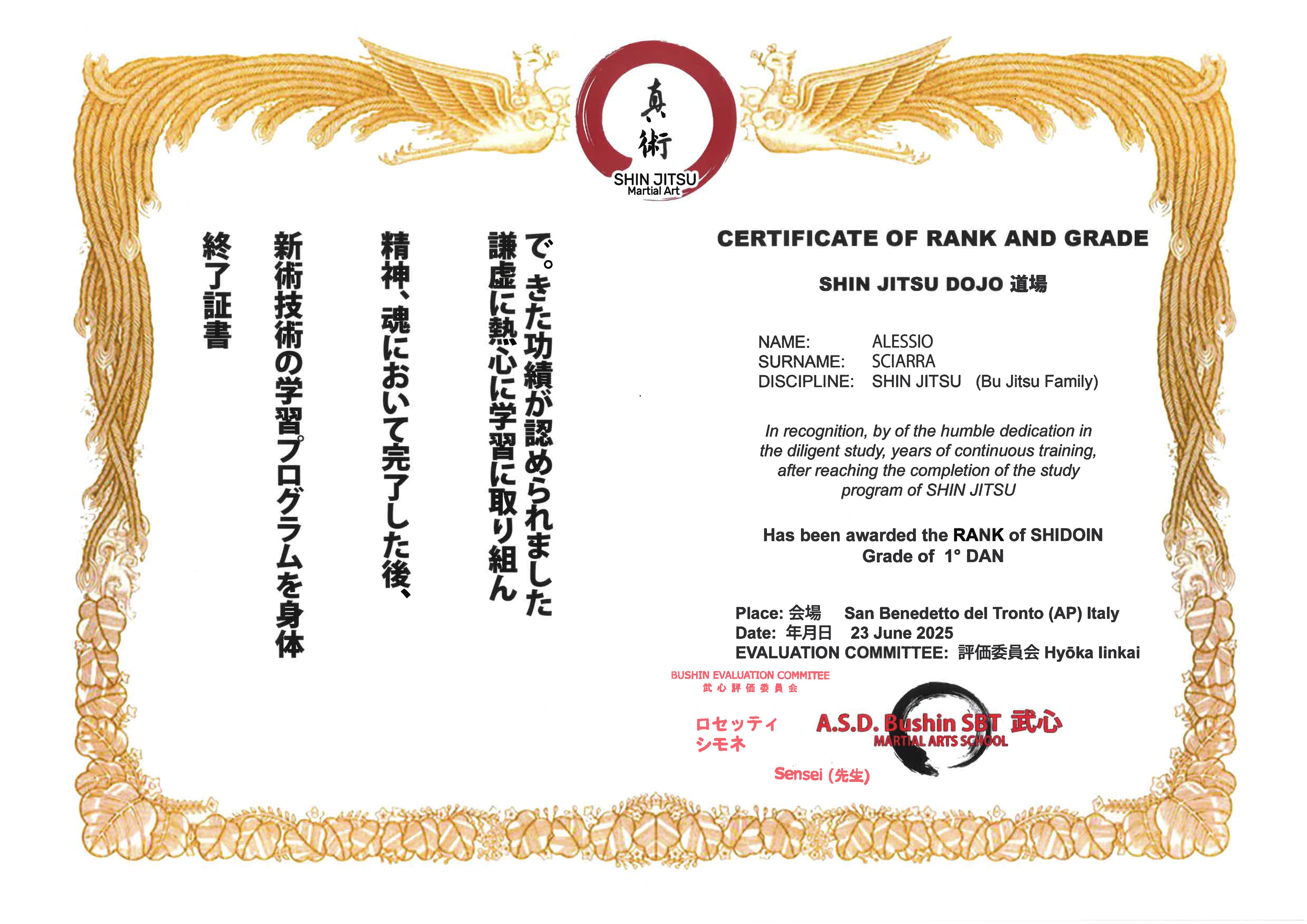 Diploma 1 dan alessio